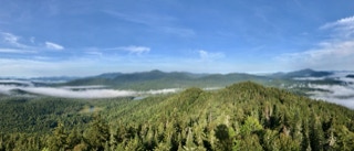 View from Mt Adams Firetower