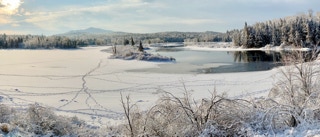 Vanderwhacker and the Frozen Hudson