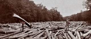 Log Jam at the Hudson River Bridge